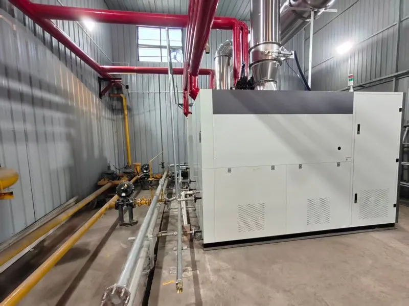 Пищевая промышленность Шицзячжуан (3)